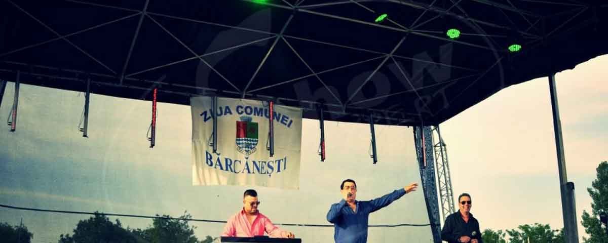oganizare ziua comunei